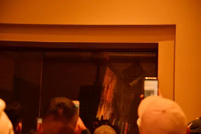 DSC_5649 (Large).JPG